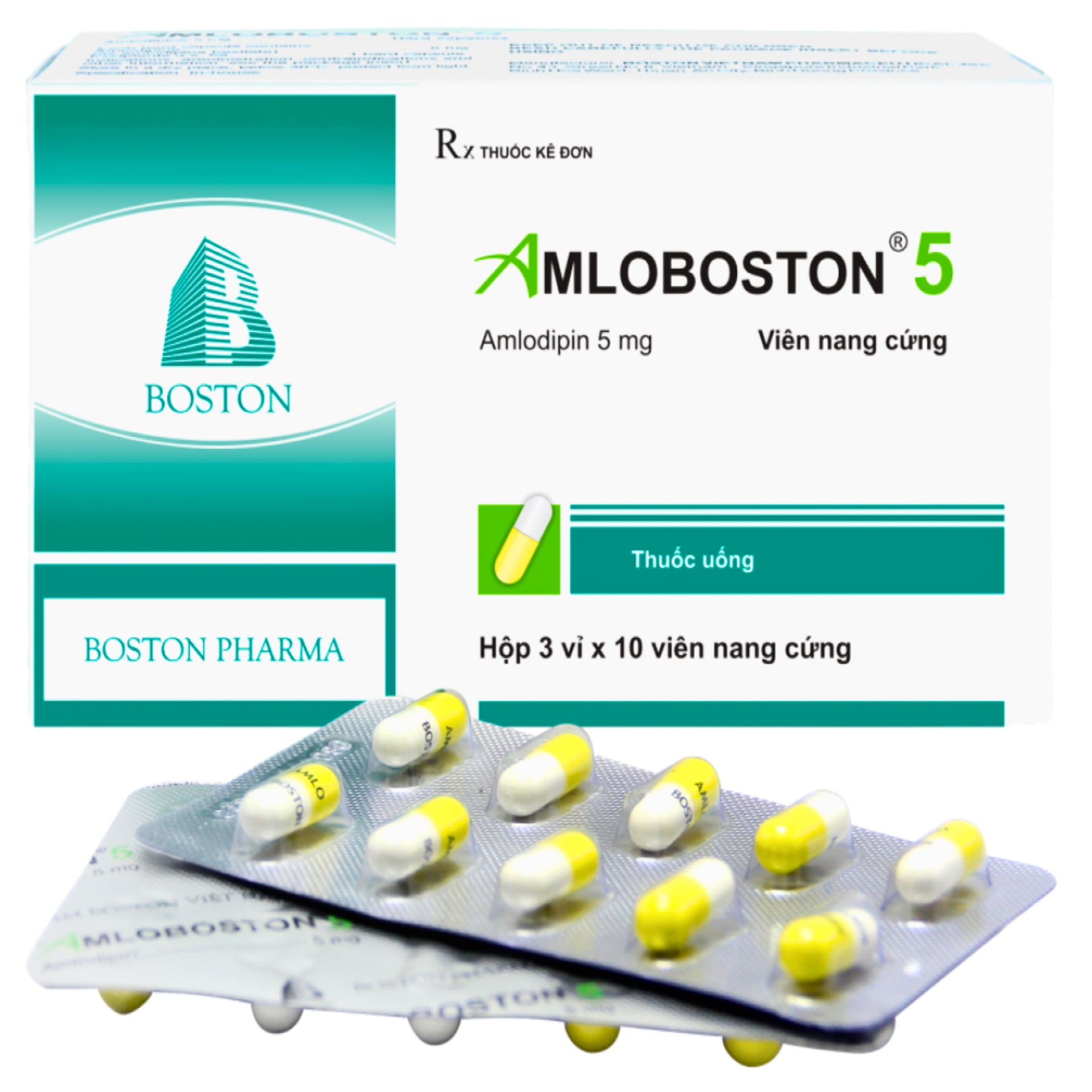 Amloboston 5 Amlodipin 5mg hộp 3 vỉ x 10 viên nang cứng Boston - Giá ...